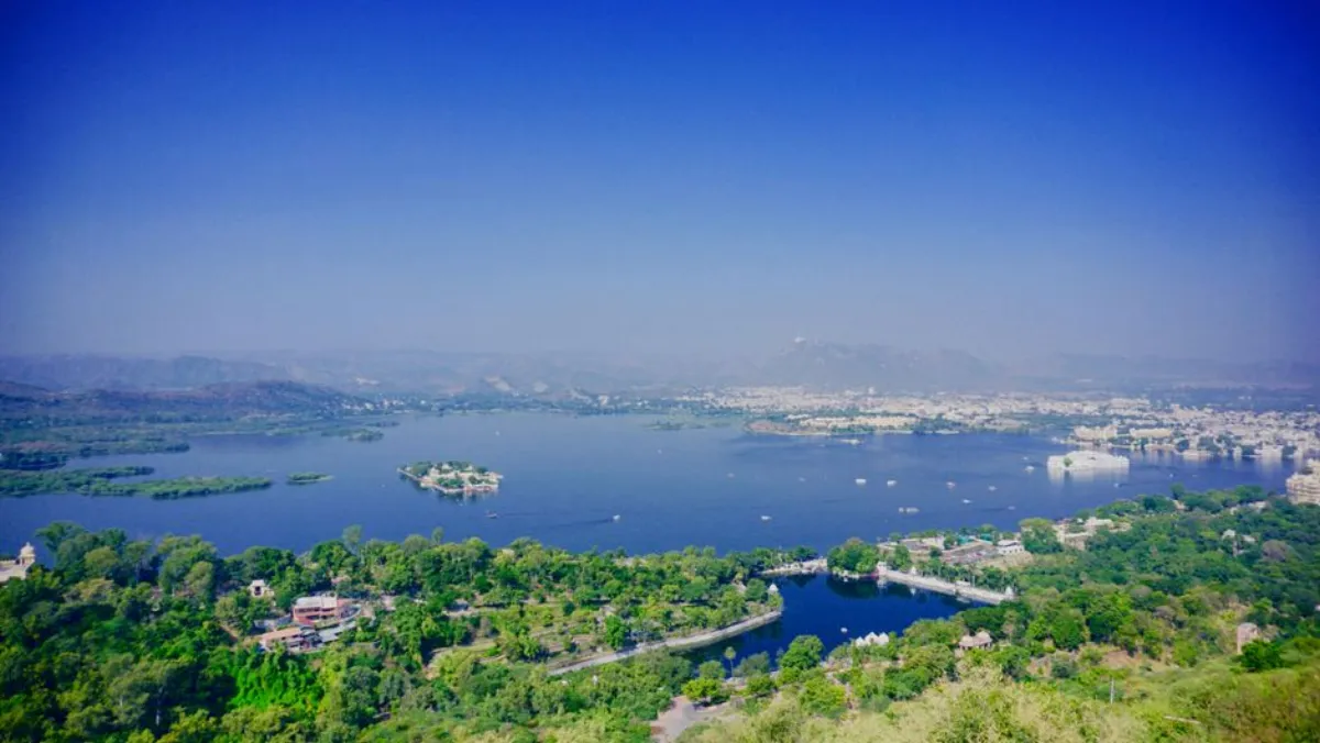 clear view