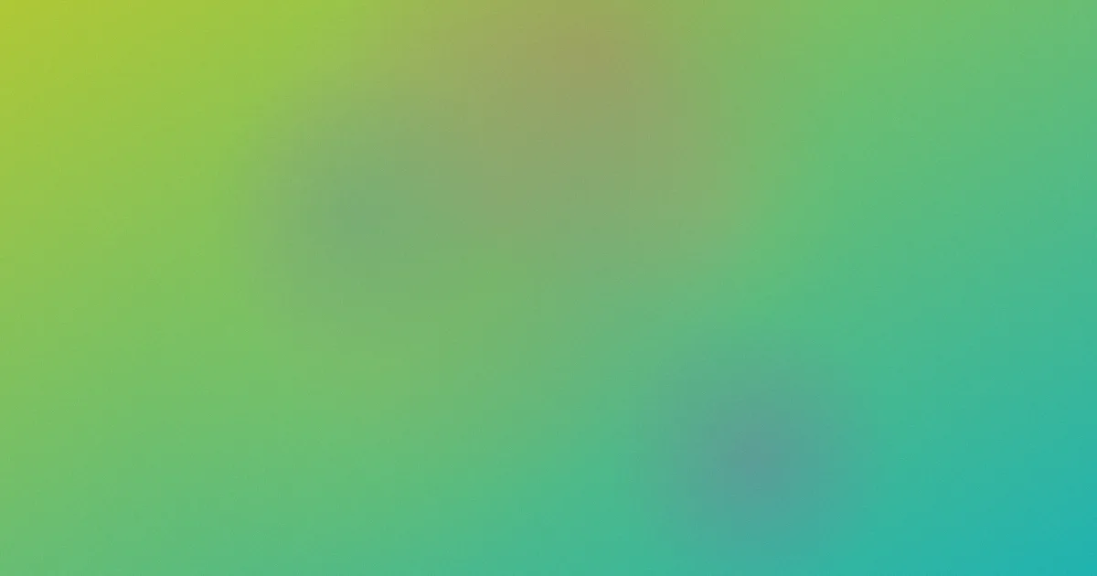 杏导航对比：一次换站复盘